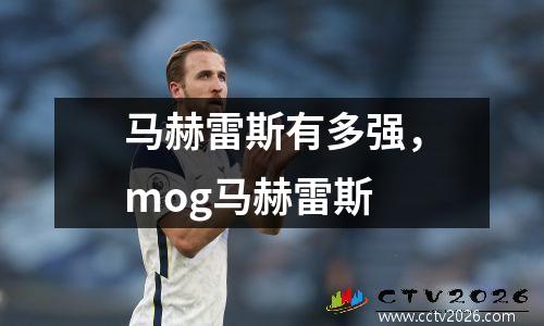 马赫雷斯有多强，mog马赫雷斯