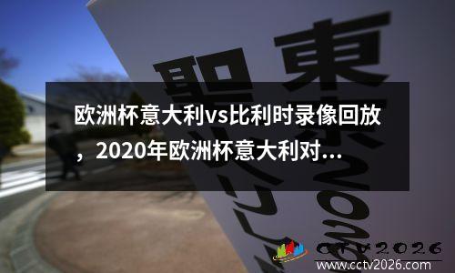 欧洲杯意大利vs比利时录像回放，2020年欧洲杯意大利对比利时