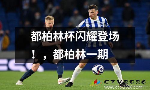 都柏林杯闪耀登场！，都柏林一期
