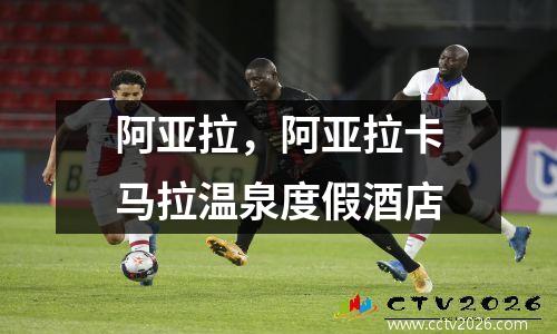 阿亚拉，阿亚拉卡马拉温泉度假酒店