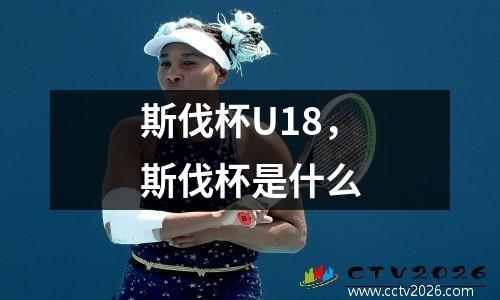 斯伐杯U18，斯伐杯是什么