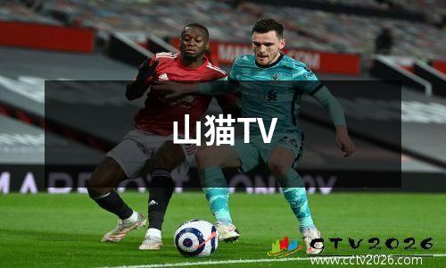 山猫TV