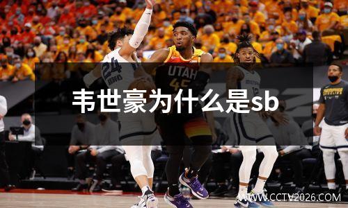 韦世豪为什么是sb