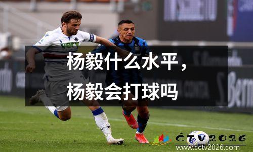杨毅什么水平，杨毅会打球吗