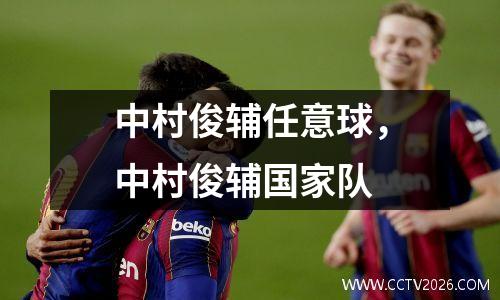 中村俊辅任意球，中村俊辅国家队