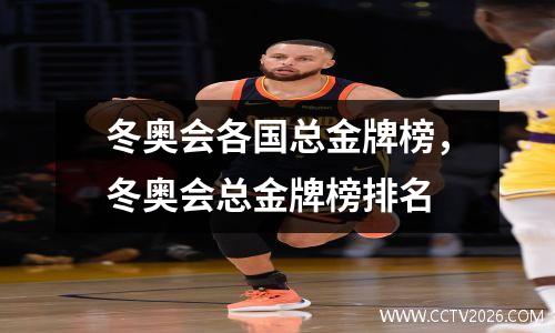 冬奥会各国总金牌榜，冬奥会总金牌榜排名