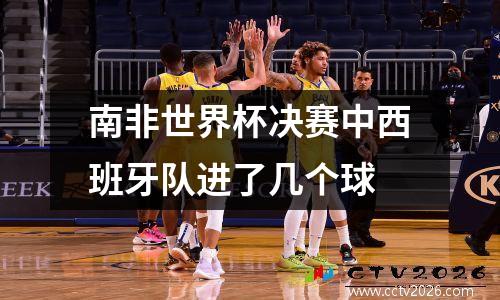 南非世界杯决赛中西班牙队进了几个球