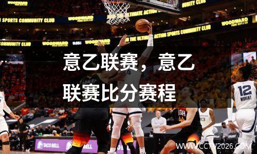 意乙联赛，意乙联赛比分赛程