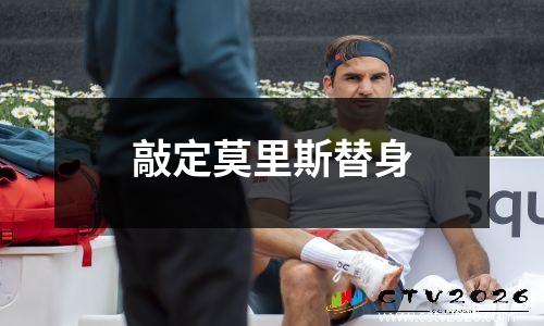 敲定莫里斯替身