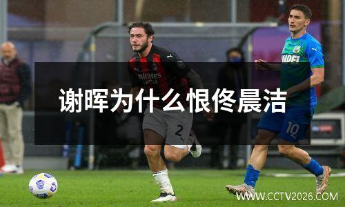 谢晖为什么恨佟晨洁