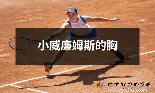 小威廉姆斯的胸