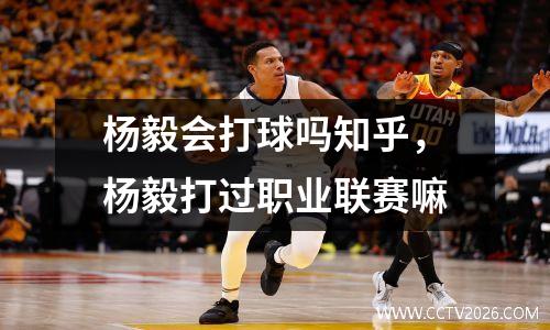 杨毅会打球吗知乎，杨毅打过职业联赛嘛
