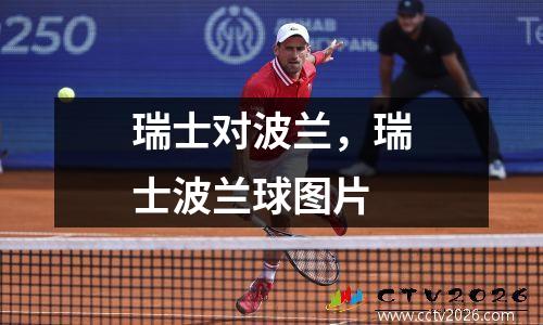 瑞士对波兰，瑞士波兰球图片