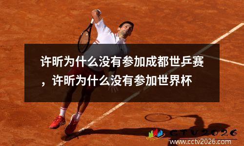 许昕为什么没有参加成都世乒赛，许昕为什么没有参加世界杯