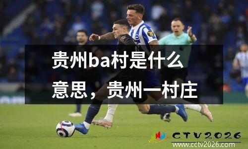 贵州ba村是什么意思，贵州一村庄