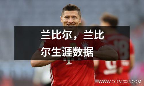 兰比尔，兰比尔生涯数据
