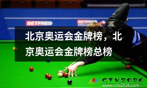 北京奥运会金牌榜，北京奥运会金牌榜总榜