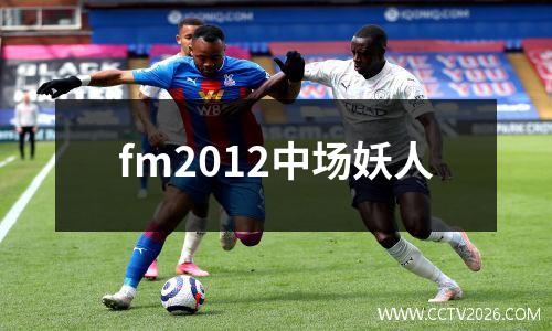 fm2012中场妖人