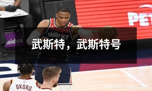 武斯特，武斯特号