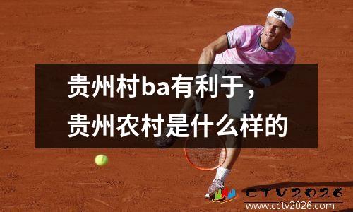 贵州村ba有利于，贵州农村是什么样的