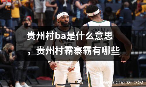 贵州村ba是什么意思，贵州村霸寨霸有哪些