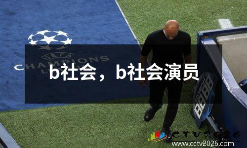 b社会，b社会演员