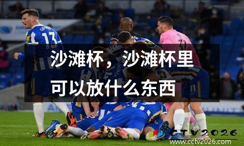 沙滩杯，沙滩杯里可以放什么东西