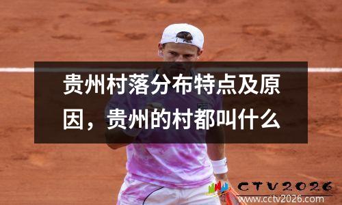 贵州村落分布特点及原因，贵州的村都叫什么