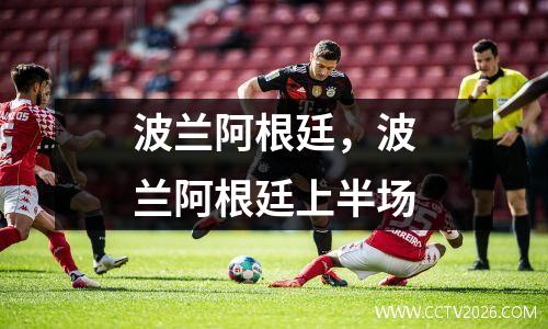 波兰阿根廷，波兰阿根廷上半场