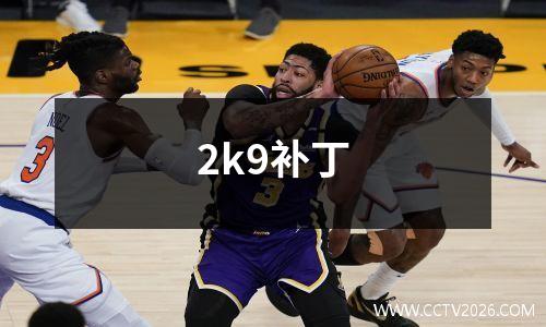 2k9补丁