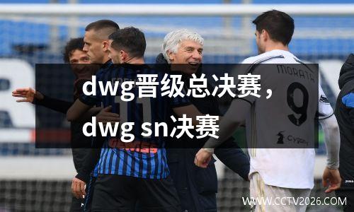 dwg晋级总决赛，dwg sn决赛