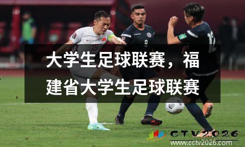 大学生足球联赛，福建省大学生足球联赛