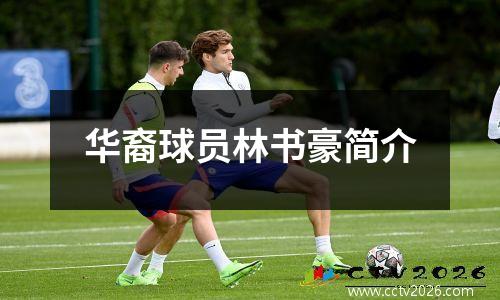 华裔球员林书豪简介