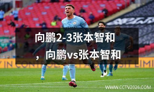 向鹏2-3张本智和，向鹏vs张本智和