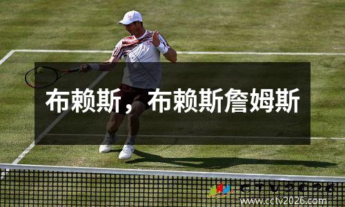布赖斯，布赖斯詹姆斯