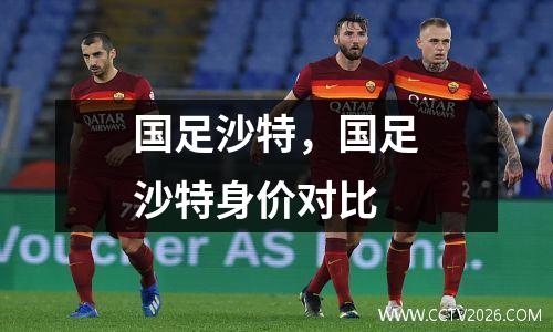 国足沙特，国足沙特身价对比