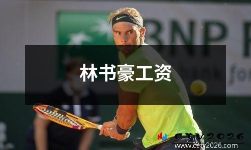 林书豪工资