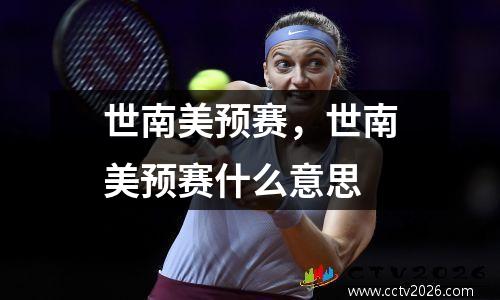 世南美预赛，世南美预赛什么意思