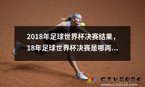 2018年足球世界杯决赛结果，18年足球世界杯决赛是哪两个国家