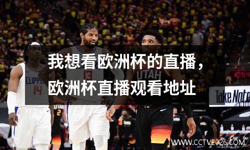 我想看欧洲杯的直播，欧洲杯直播观看地址