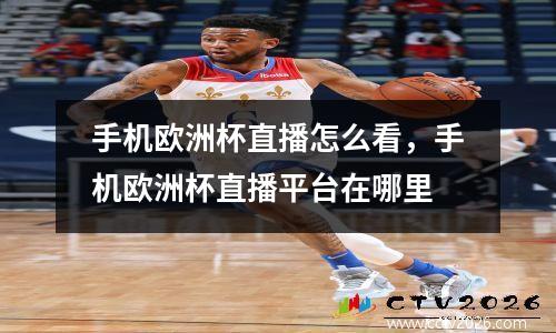 手机欧洲杯直播怎么看，手机欧洲杯直播平台在哪里