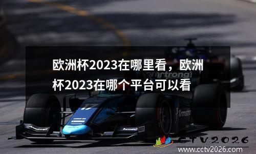 欧洲杯2023在哪里看，欧洲杯2023在哪个平台可以看