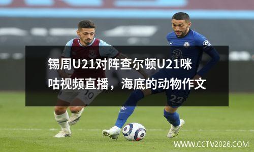锡周U21对阵查尔顿U21咪咕视频直播，海底的动物作文