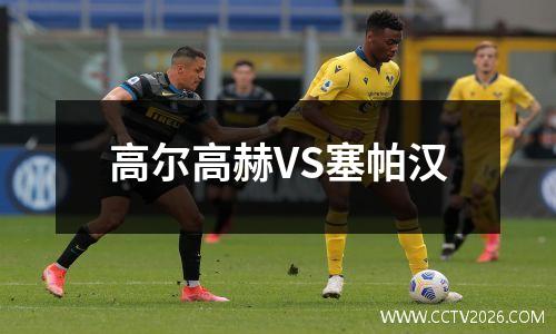 高尔高赫VS塞帕汉