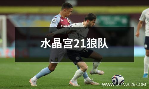 水晶宫21狼队