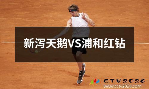 新泻天鹅VS浦和红钻