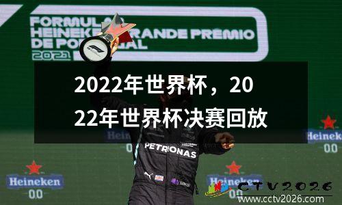 2022年世界杯，2022年世界杯决赛回放