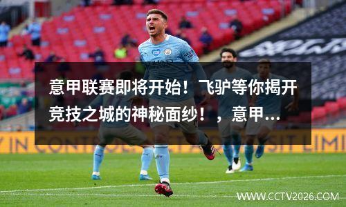 意甲联赛即将开始！飞驴等你揭开竞技之城的神秘面纱！，意甲联赛竞猜