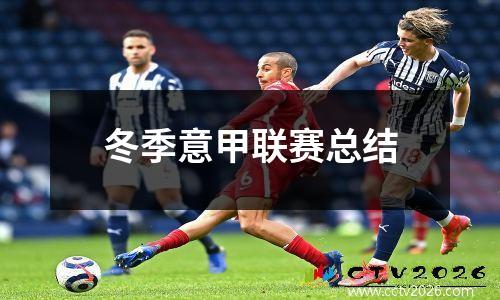 冬季意甲联赛总结