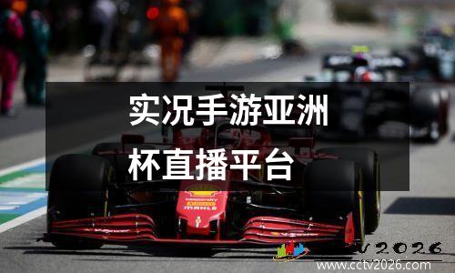 实况手游亚洲杯直播平台